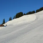 Wallegg - Alpine Premium - In-ski Out - Real Alpine Location