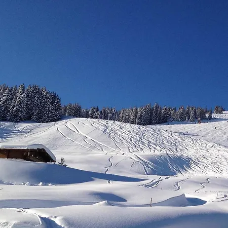 Wallegg - Alpine Premium - In-ski Out - Real Alpine Location Horská chata Saalbach-Hinterglemm