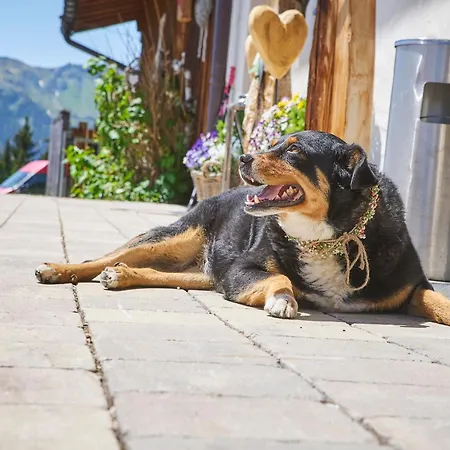 Wallegg - Alpine Premium - In-ski Out - Real Alpine Location