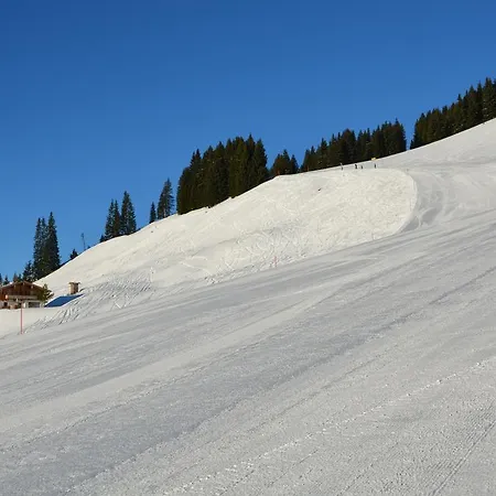Wallegg Lodge - Alpine Premium Chalet - Ski In-Ski Out - Real Alpine Location Saalbach