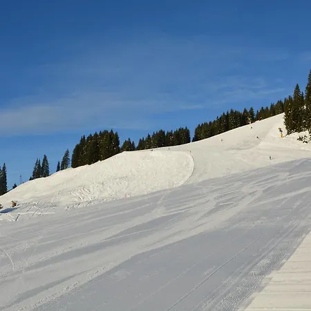 Wallegg Lodge - Alpine Premium Chalet - Ski In-Ski Out - Real Alpine Location Saalbach *