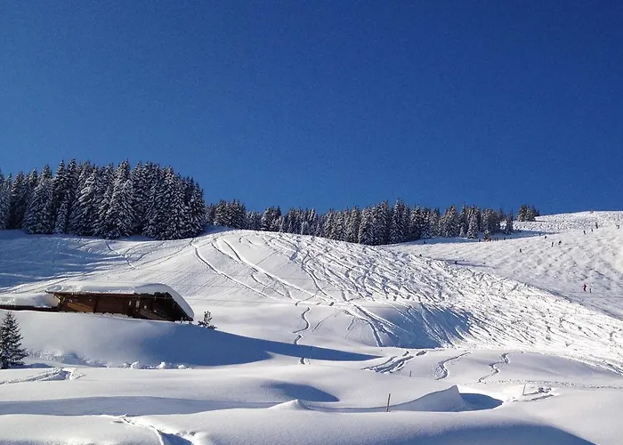 Wallegg - Alpine Premium - In-ski Out - Real Alpine Location شاليه سالباخ هينترغليم