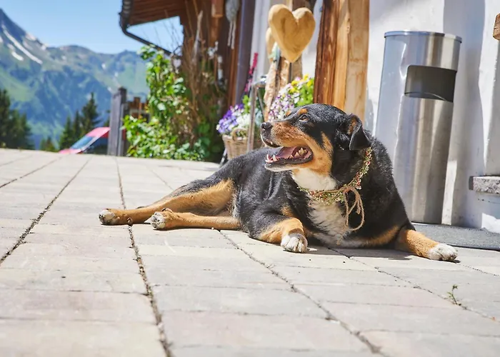 Wallegg Lodge - Alpine Premium Chalet - Ski In-Ski Out - Real Alpine Location Saalbach