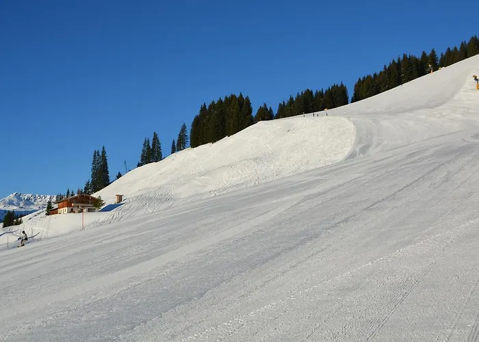 Wallegg Lodge - Alpine Premium Chalet - Ski In-Ski Out - Real Alpine Location Saalbach