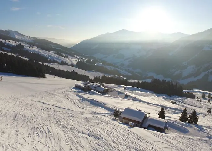 Wallegg - Alpine Premium - In-ski Out - Real Alpine Location شاليه سالباخ هينترغليم